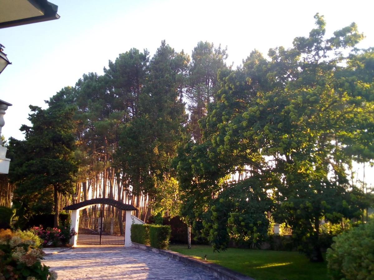 Pinheirinhos - Quinta De Sao Caetano Villa Carapito Eksteriør bilde