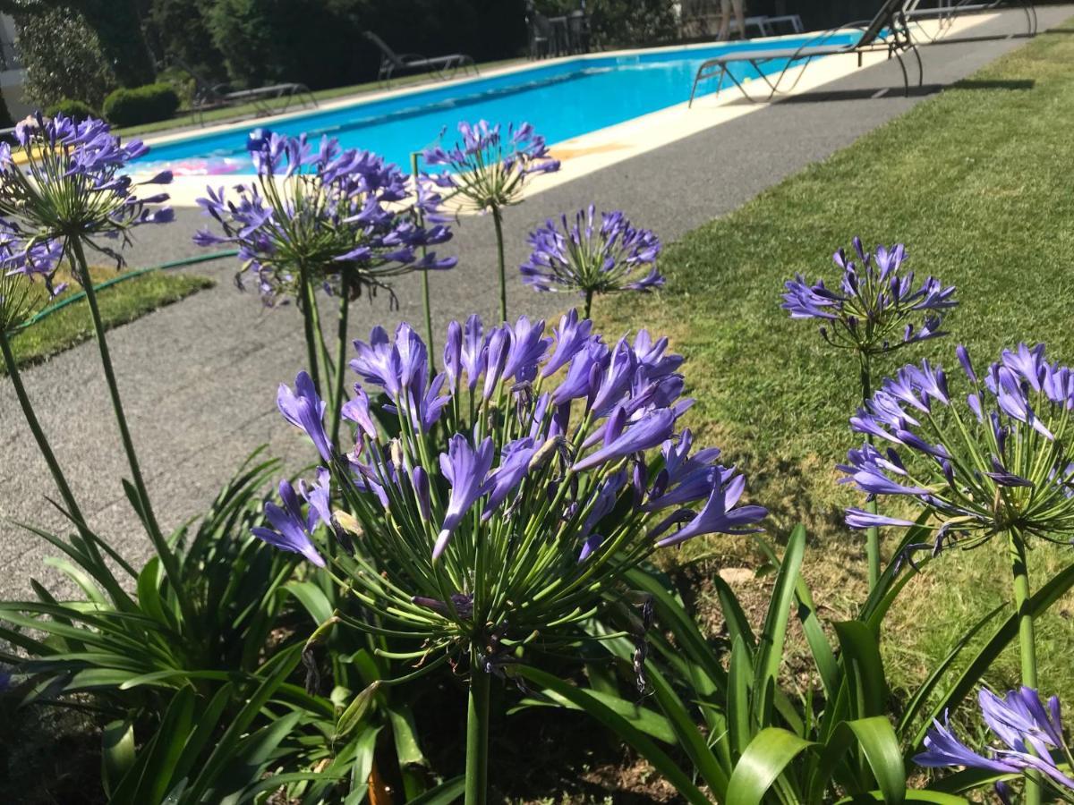 Pinheirinhos - Quinta De Sao Caetano Villa Carapito Eksteriør bilde