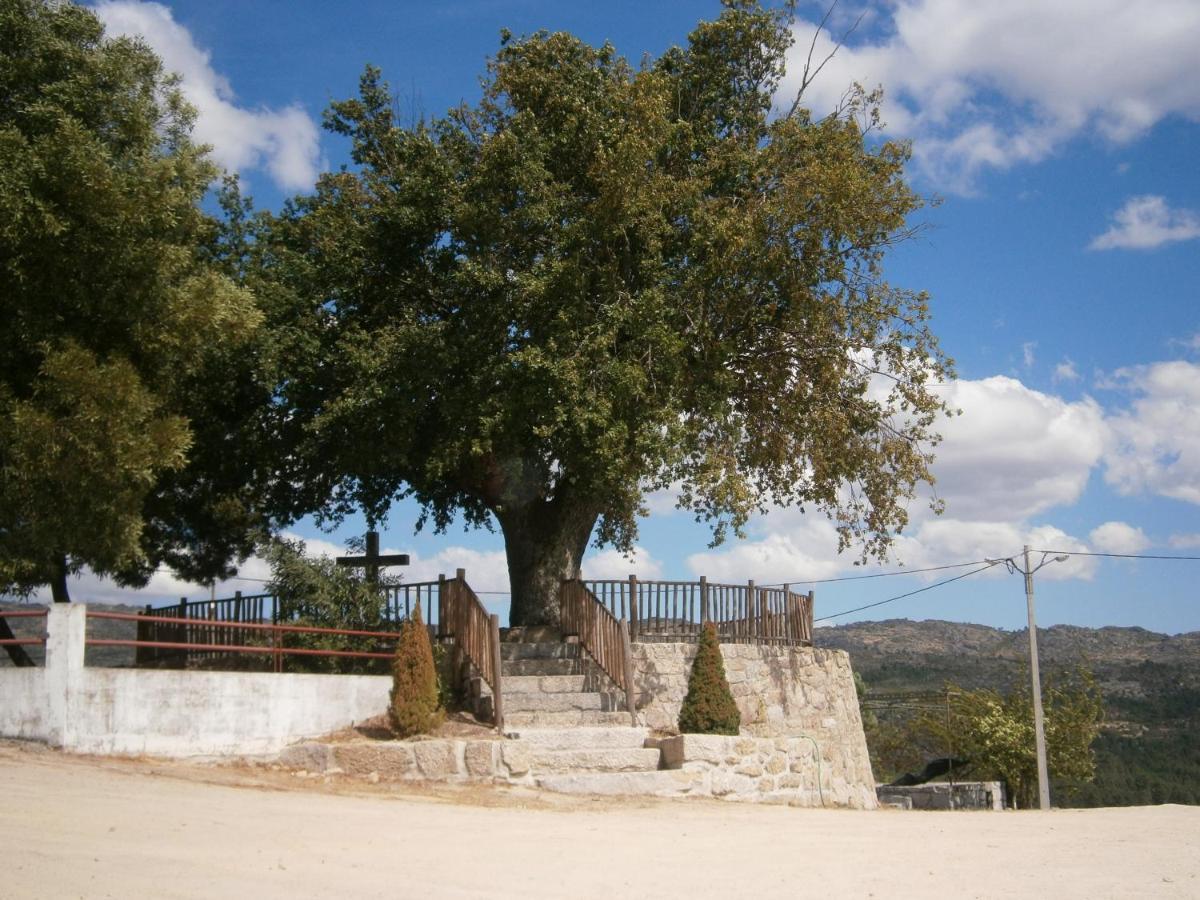 Pinheirinhos - Quinta De Sao Caetano Villa Carapito Eksteriør bilde