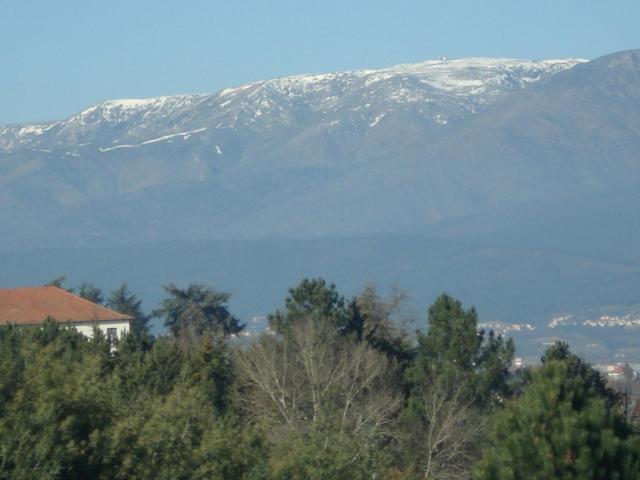 Pinheirinhos - Quinta De Sao Caetano Villa Carapito Eksteriør bilde