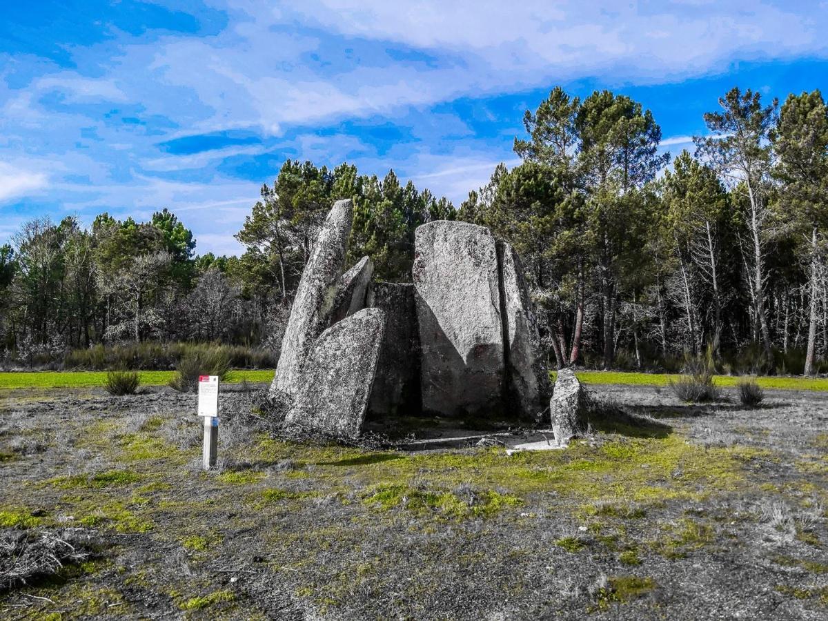 Pinheirinhos - Quinta De Sao Caetano Villa Carapito Eksteriør bilde