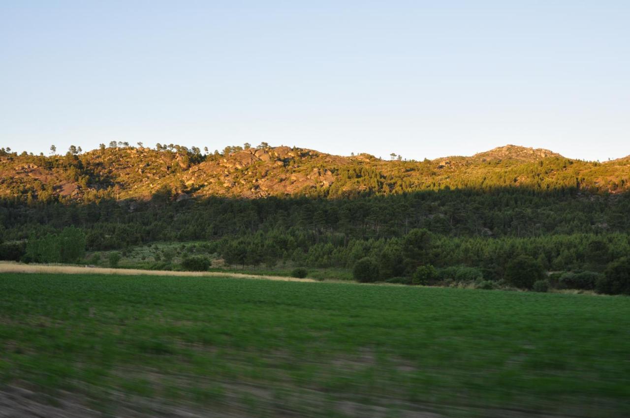 Pinheirinhos - Quinta De Sao Caetano Villa Carapito Eksteriør bilde