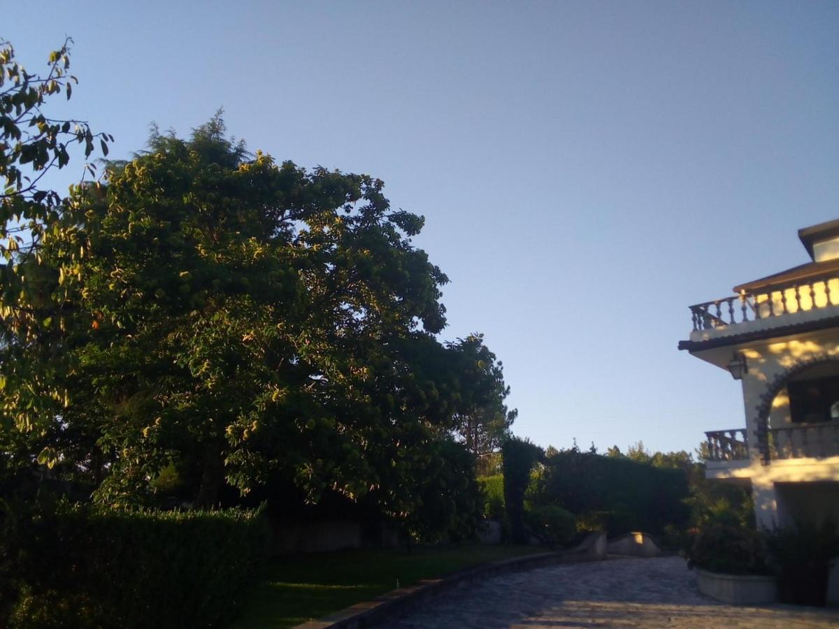 Pinheirinhos - Quinta De Sao Caetano Villa Carapito Eksteriør bilde
