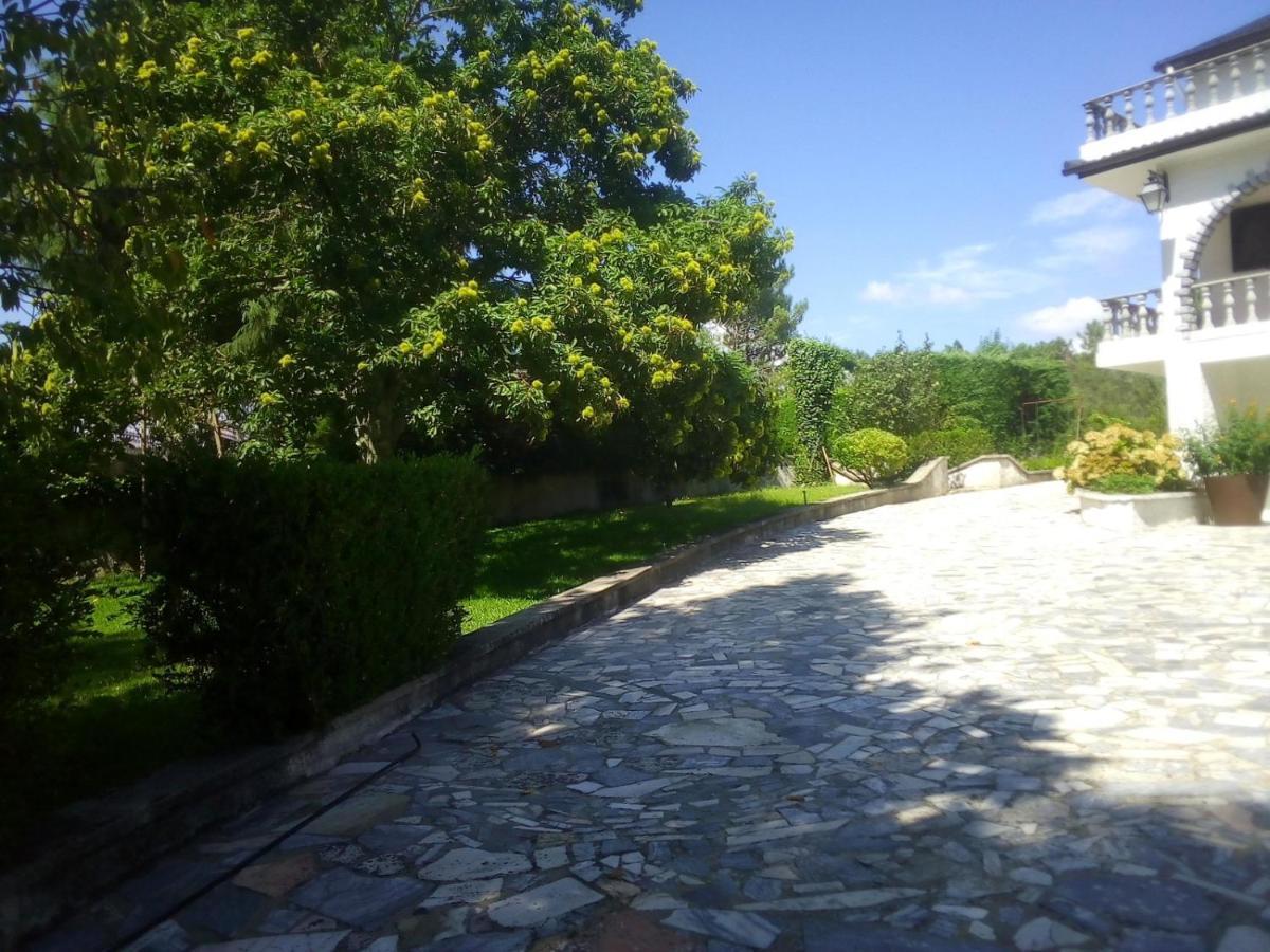 Pinheirinhos - Quinta De Sao Caetano Villa Carapito Eksteriør bilde